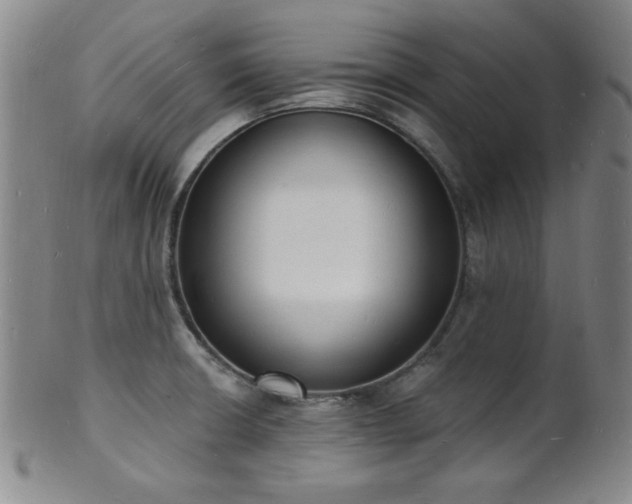 X0000101691426200807101502