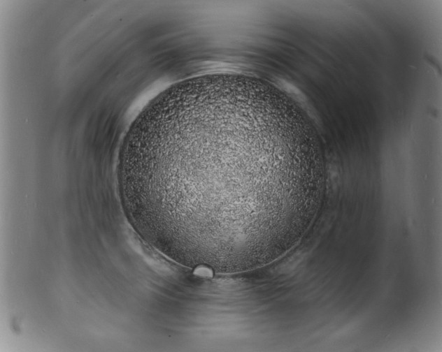 X0000101691427200807101502
