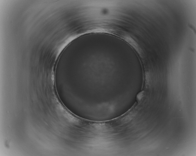 X0000101691428200807101502