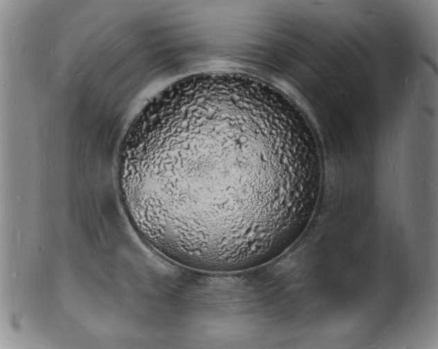 X0000101691429200807101502