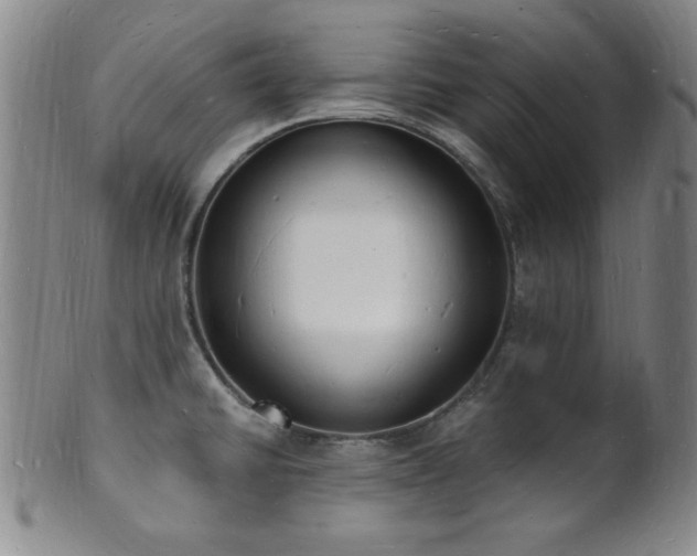 X0000101691430200807101502