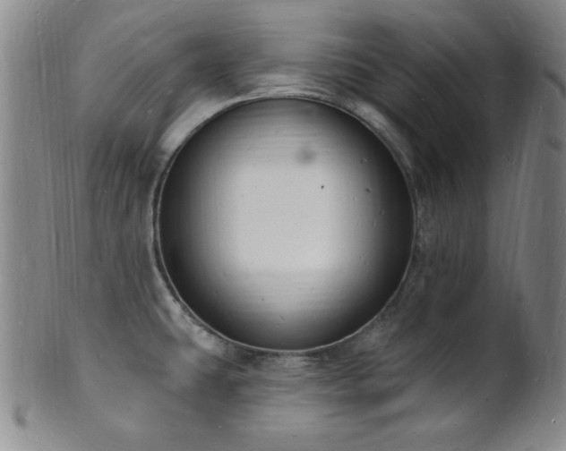 X0000101691431200807101502