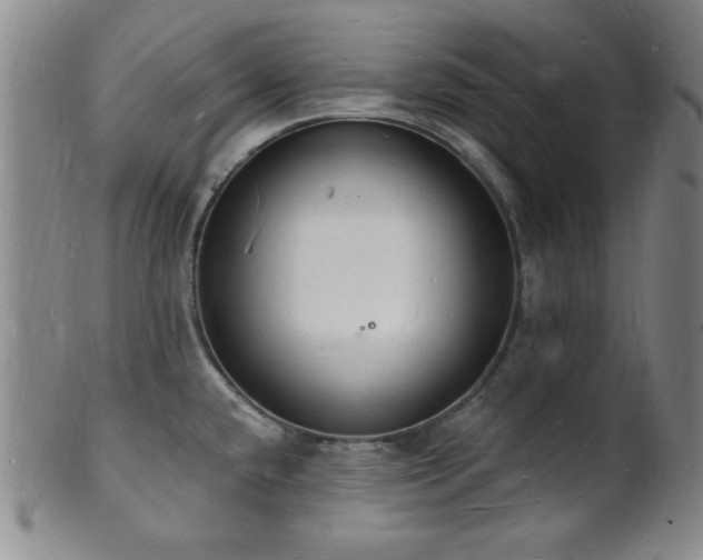 X0000101691432200807101502