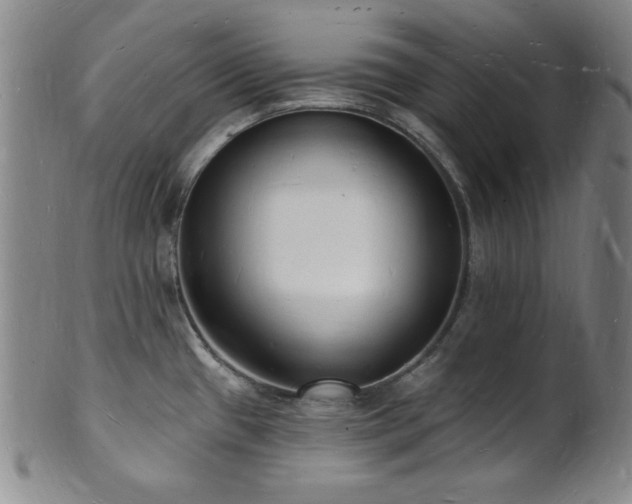 X0000101691433200807101502