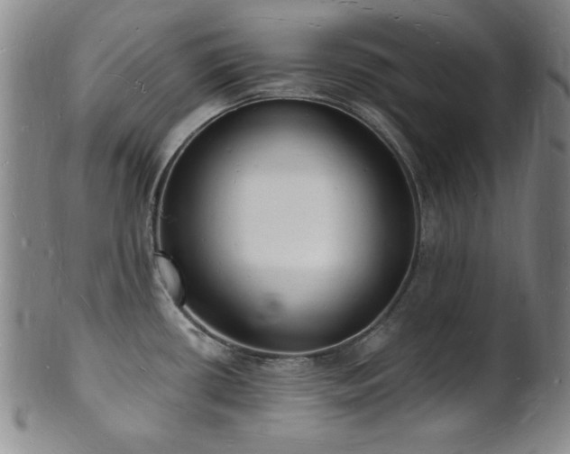 X0000101691434200807101502