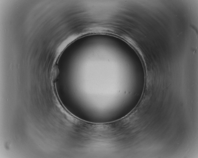 X0000101691437200807101502