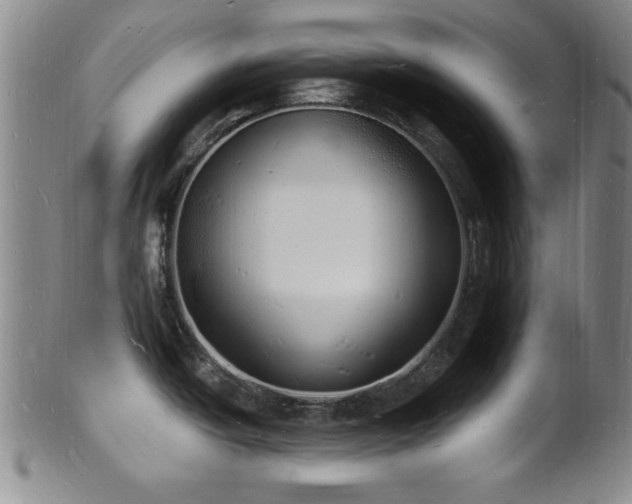 X0000101691438200807101502