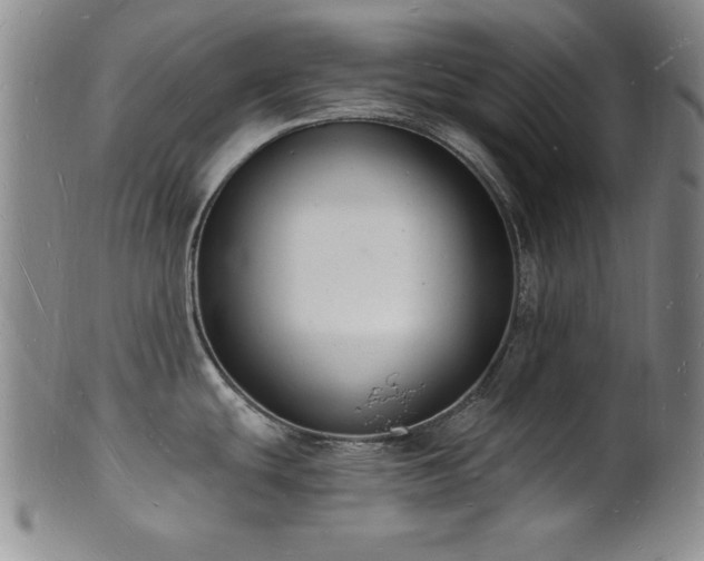X0000101691439200807101502