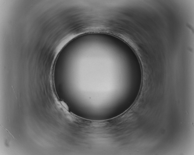 X0000101691440200807101502