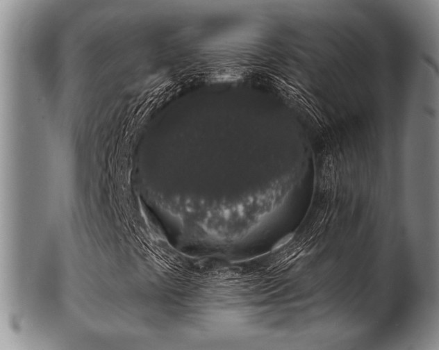 X0000101691441200807101502