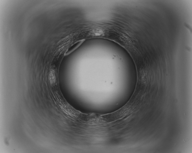 X0000101691442200807101502