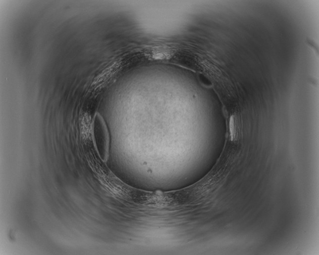 X0000101691443200807101502