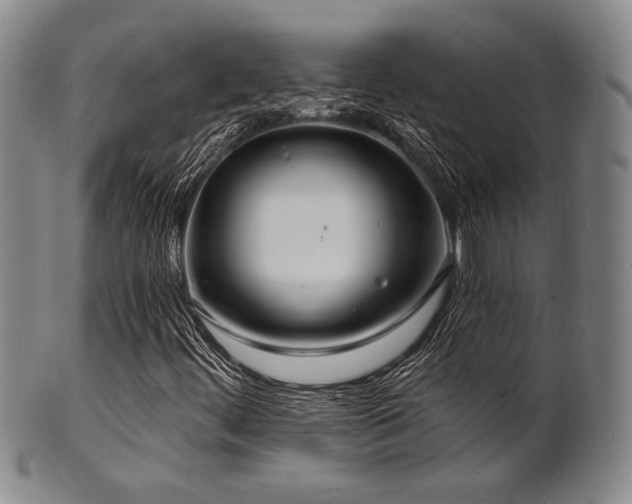 X0000101691444200807101502