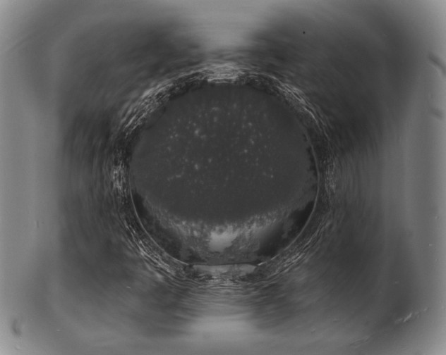 X0000101691445200807101502