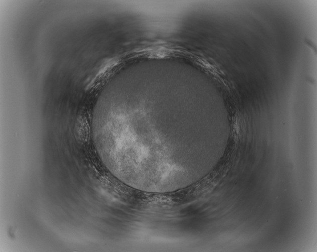 X0000101691446200807101502
