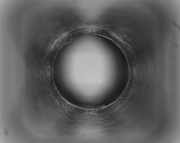X0000101691447200807101502