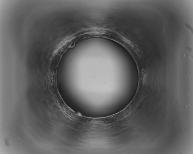 X0000101691448200807101502
