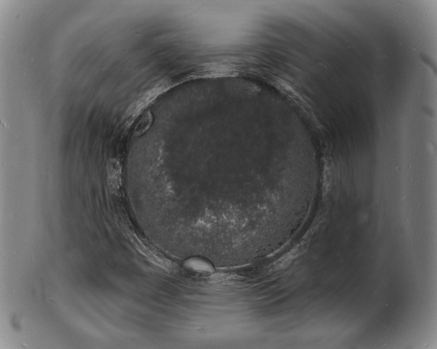 X0000101691449200807101502