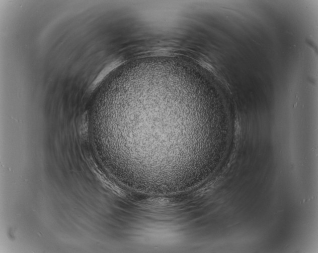 X0000101691450200807101502