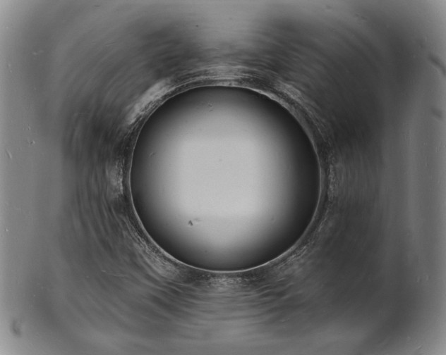 X0000101691451200807101502
