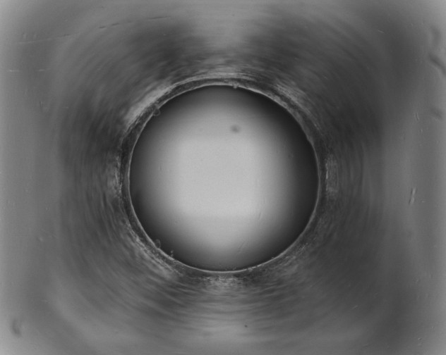 X0000101691452200807101502
