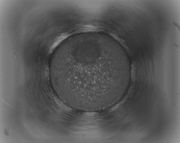 X0000101691453200807101501