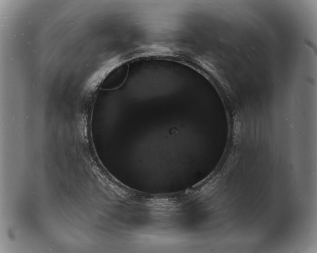 X0000101691455200807101501