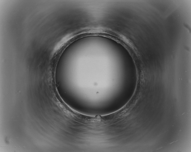 X0000101691456200807101501
