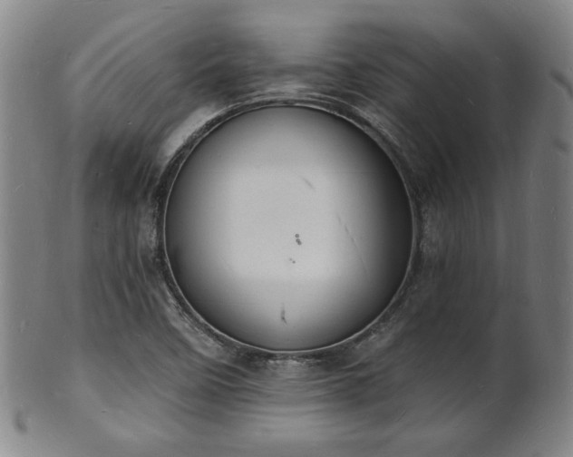 X0000101691458200807101501
