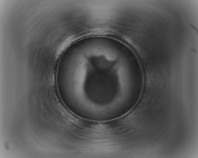 X0000101691459200807101501