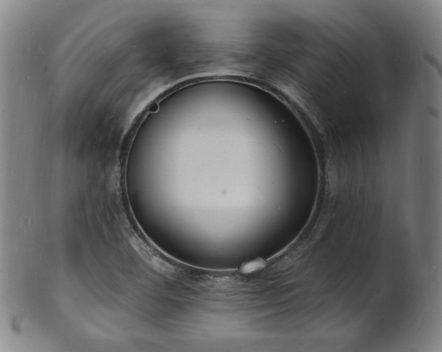 X0000101691460200807101501