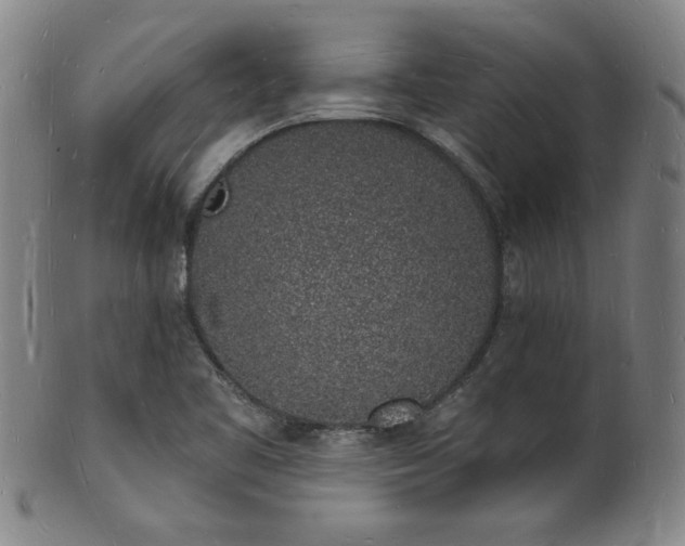 X0000101691461200807101501