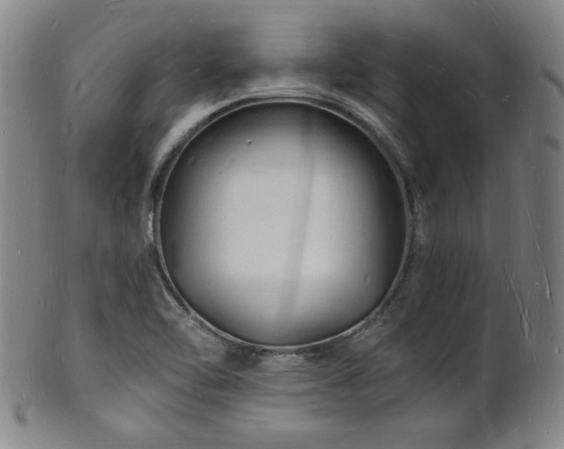X0000101691462200807101501