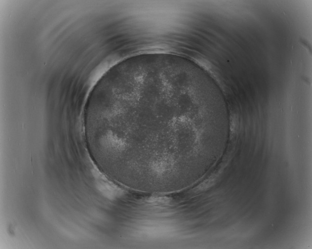X0000101691466200807101501