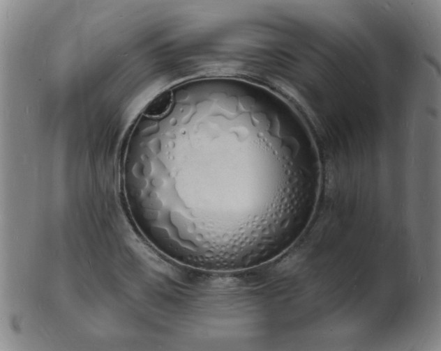 X0000101691467200807101501