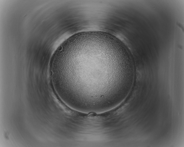 X0000101691469200807101501