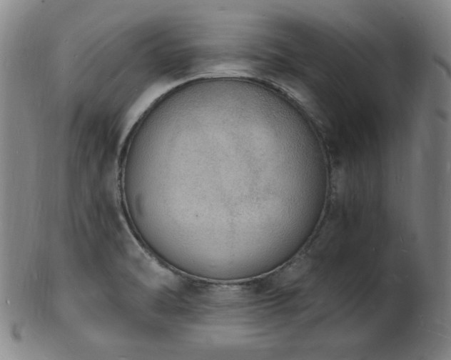 X0000101691470200807101501