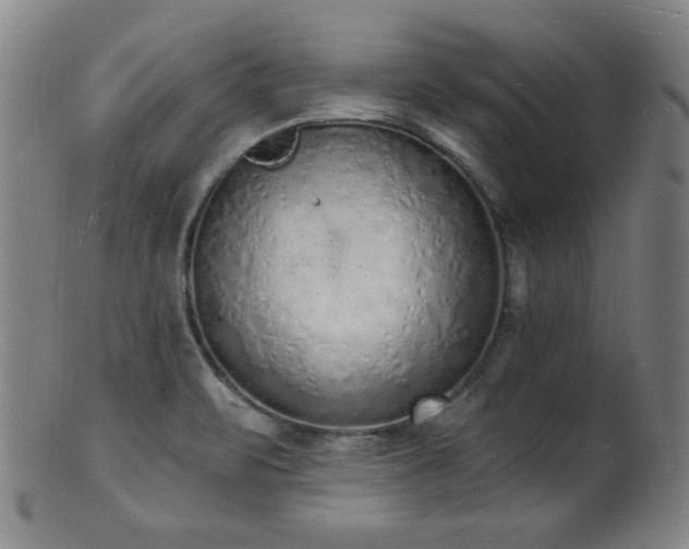 X0000101691471200807101501