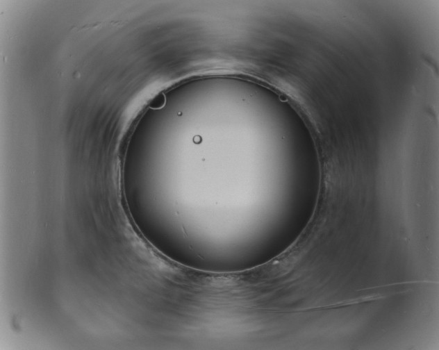 X0000101691472200807101501