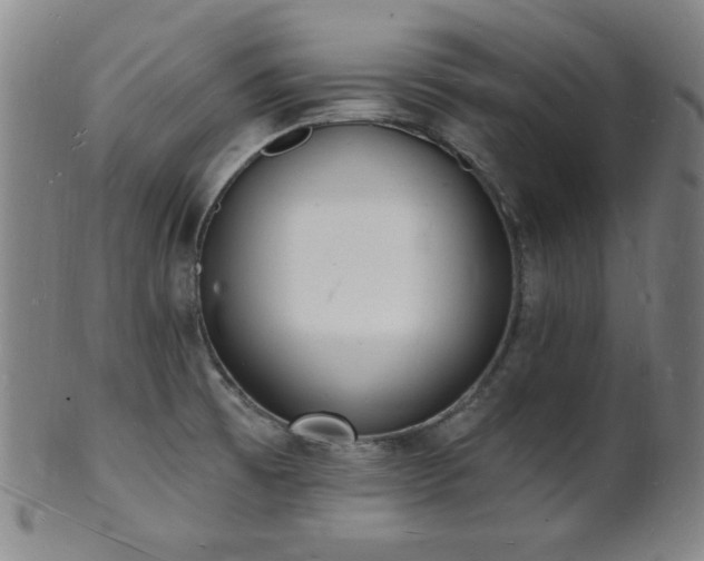 X0000101691473200807101501