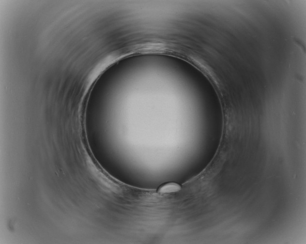 X0000101691475200807101501