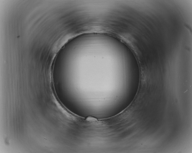 X0000101691479200807101501