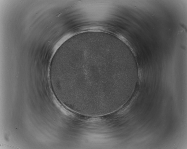 X0000101691482200807101501