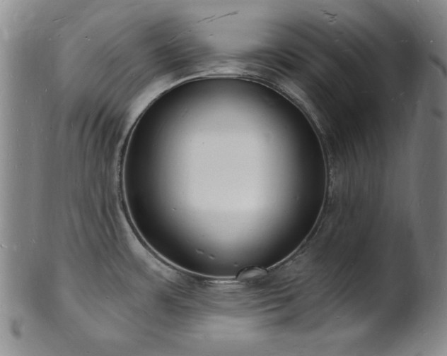 X0000101691483200807101501