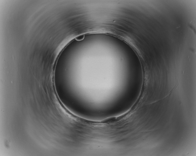 X0000101691484200807101501