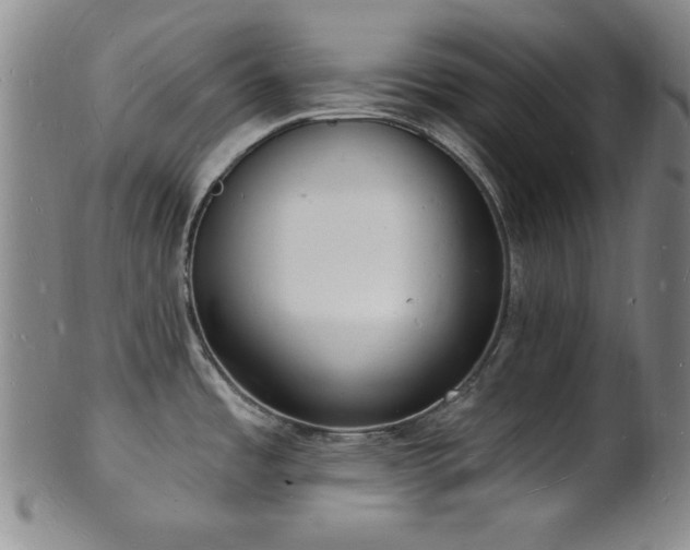 X0000101691485200807101501