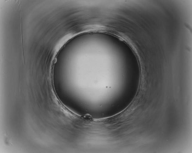 X0000101691488200807101501