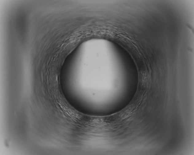 X0000101691489200807101500