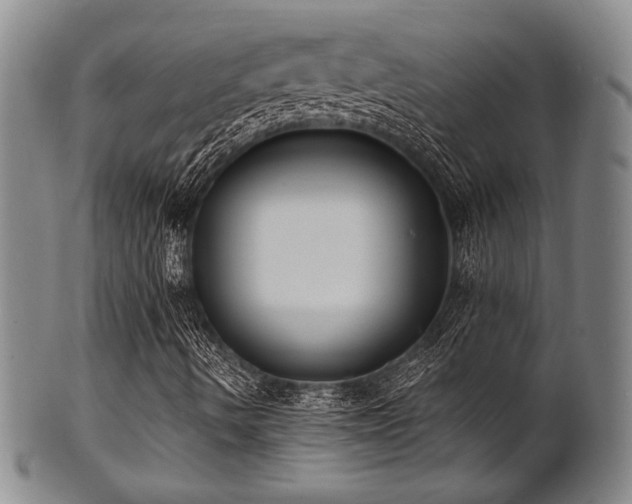 X0000101691490200807101500