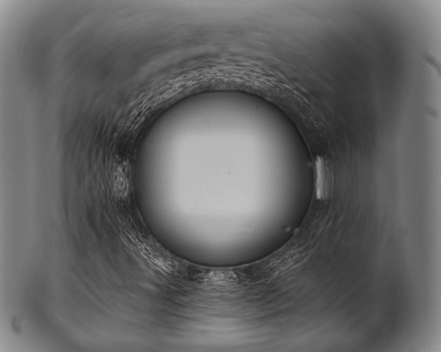 X0000101691491200807101500